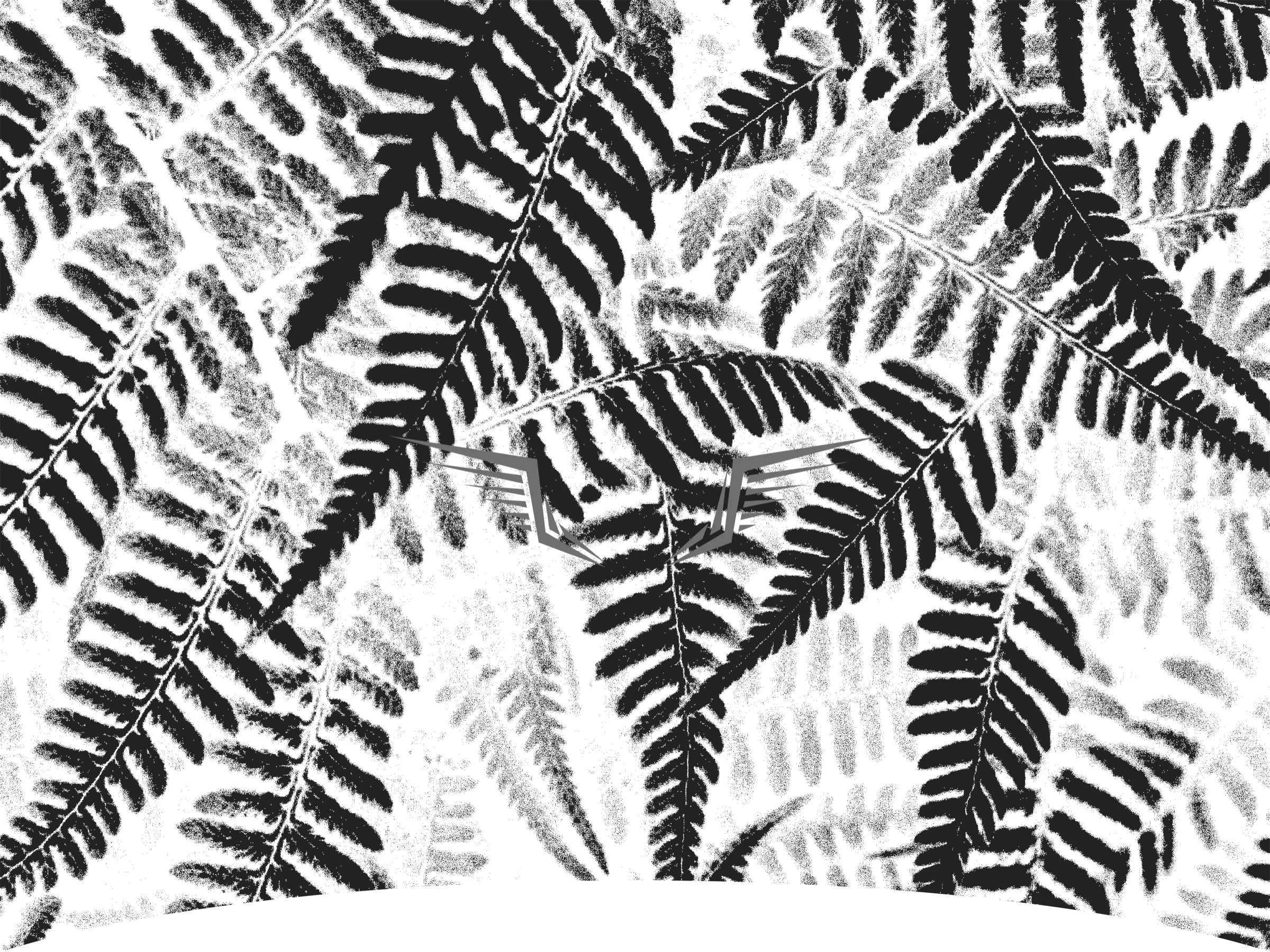 Wings and Ferns botanical illustration